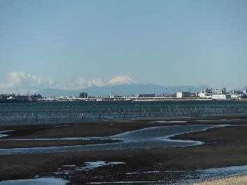 船橋市三番瀬