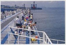 市原市海釣り施設
