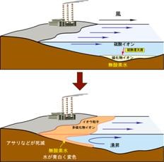 青潮発生の仕組み（東京都環境科学研究所）