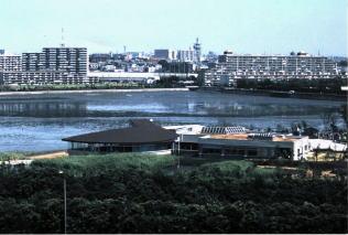 習志野市谷津干潟