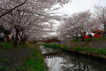 海老川鷹匠橋付近