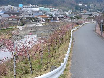 保田川天王橋付近