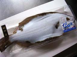 ヒラメ さかな好き父さんのスーパー買物日記 千葉県