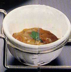 塩辛の画像