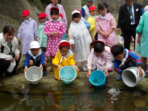 放流の様子