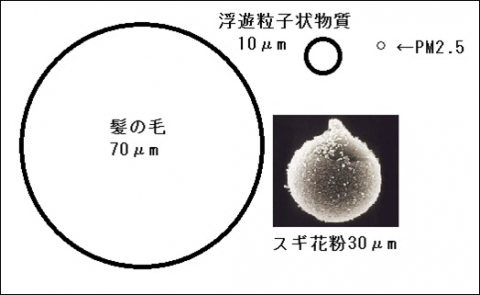PM2.5大きさ