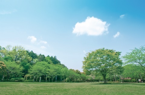 流山市総合運動公園