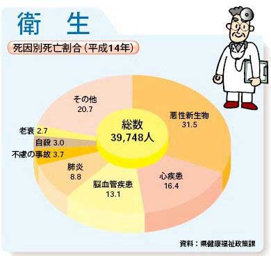 死因別死亡割合（平成14年）