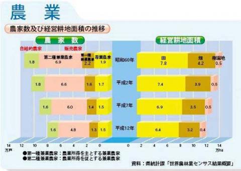 農家数及び経営耕地面積の推移