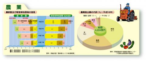 農家数及び経営耕地面積の推移及び農業産出額の内訳（平成16年度）