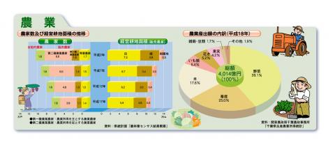 農家数及び経営耕地面積の推移、農業産出額の内訳（平成15年