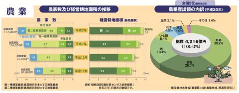 農家数及び経営耕地面積の推移、農業産出額の内訳(平成20年)