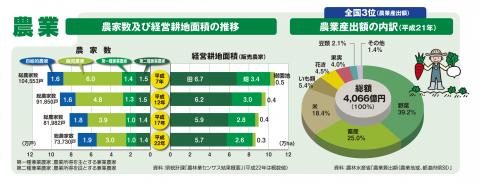 農家数及び経営耕地面積の推移、農業産出額の内訳(平成21年)