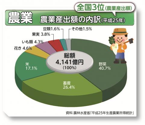農業産出額の内訳(平成25年)