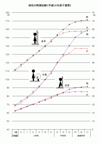 体位の性別比較（平成16年度千葉県）