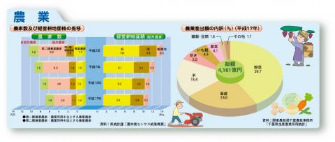 農家数及び経営耕地面積の推移