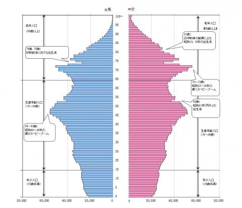 図6千葉県人口ピラミッド