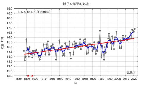 銚子地方気象台の年平均気温の経年変化のグラフ