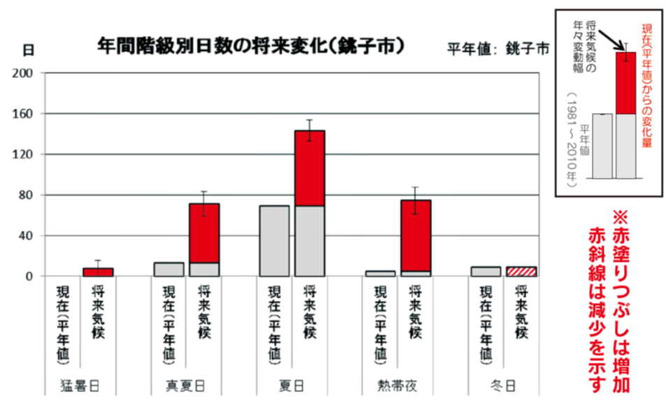 千葉県（銚子市）の階級別日数の将来気候における変化